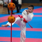 Vienna Open Karate Meisterschaft 2024