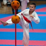 Vienna Open Karate Meisterschaft 2024