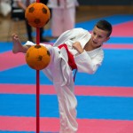 Vienna Open Karate Meisterschaft 2024