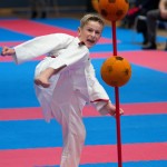 Vienna Open Karate Meisterschaft 2024