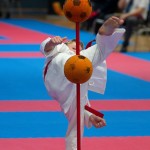 Vienna Open Karate Meisterschaft 2024