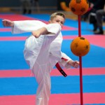 Vienna Open Karate Meisterschaft 2024