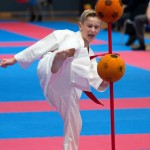 Vienna Open Karate Meisterschaft 2024