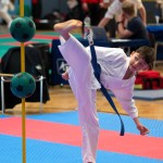 Vienna Open Karate Meisterschaft 2024