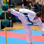 Vienna Open Karate Meisterschaft 2024