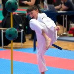 Vienna Open Karate Meisterschaft 2024