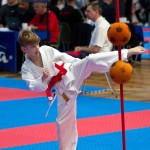 Vienna Open Karate Meisterschaft 2024