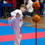 Vienna Open Karate Meisterschaft 2024