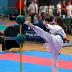 Vienna Open Karate Meisterschaft 2024