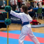 Vienna Open Karate Meisterschaft 2024