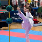 Vienna Open Karate Meisterschaft 2024