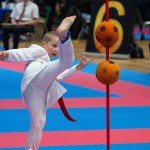 Vienna Open Karate Meisterschaft 2024