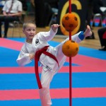 Vienna Open Karate Meisterschaft 2024