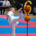 Vienna Open Karate Meisterschaft 2024