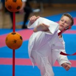 Vienna Open Karate Meisterschaft 2024