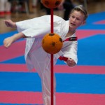 Vienna Open Karate Meisterschaft 2024