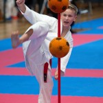 Vienna Open Karate Meisterschaft 2024