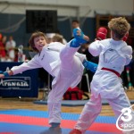 Vienna Open Karate Meisterschaft 2024