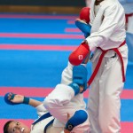 Vienna Open Karate Meisterschaft 2024