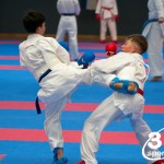 Vienna Open Karate Meisterschaft 2024