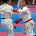 Vienna Open Karate Meisterschaft 2024