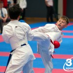 Vienna Open Karate Meisterschaft 2024