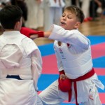 Vienna Open Karate Meisterschaft 2024