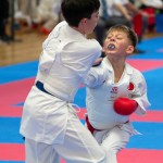 Vienna Open Karate Meisterschaft 2024