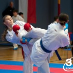 Vienna Open Karate Meisterschaft 2024