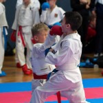 Vienna Open Karate Meisterschaft 2024