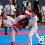 Vienna Open Karate Meisterschaft 2024