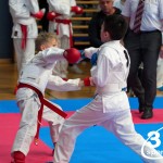 Vienna Open Karate Meisterschaft 2024