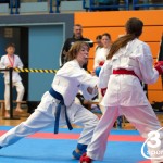 Vienna Open Karate Meisterschaft 2024