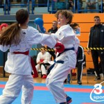 Vienna Open Karate Meisterschaft 2024