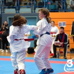 Vienna Open Karate Meisterschaft 2024