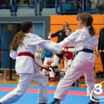 Vienna Open Karate Meisterschaft 2024