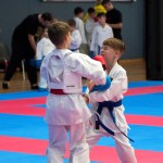 Vienna Open Karate Meisterschaft 2024