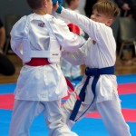 Vienna Open Karate Meisterschaft 2024