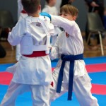 Vienna Open Karate Meisterschaft 2024