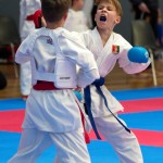 Vienna Open Karate Meisterschaft 2024