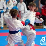 Vienna Open Karate Meisterschaft 2024