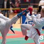 Vienna Open Karate Meisterschaft 2024