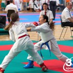 Vienna Open Karate Meisterschaft 2024