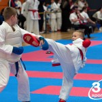 Vienna Open Karate Meisterschaft 2024