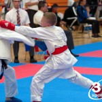 Vienna Open Karate Meisterschaft 2024