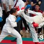 Vienna Open Karate Meisterschaft 2024