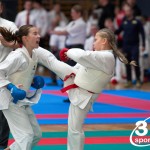 Vienna Open Karate Meisterschaft 2024