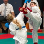 Vienna Open Karate Meisterschaft 2024