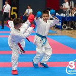 Vienna Open Karate Meisterschaft 2024