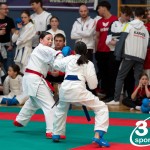 Vienna Open Karate Meisterschaft 2024